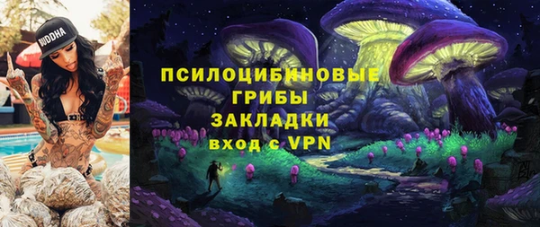 первитин Алексин