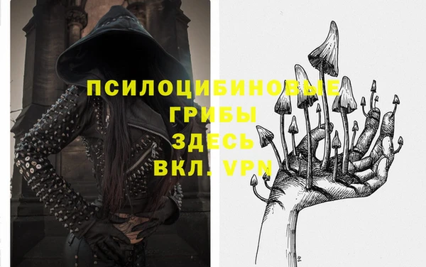 первитин Алексин